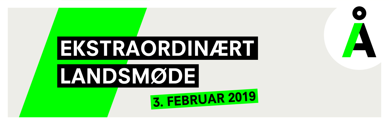 EKSTRAORDINÆRT LANDSMØDE 3. FEBRUAR 2019 sidebillede