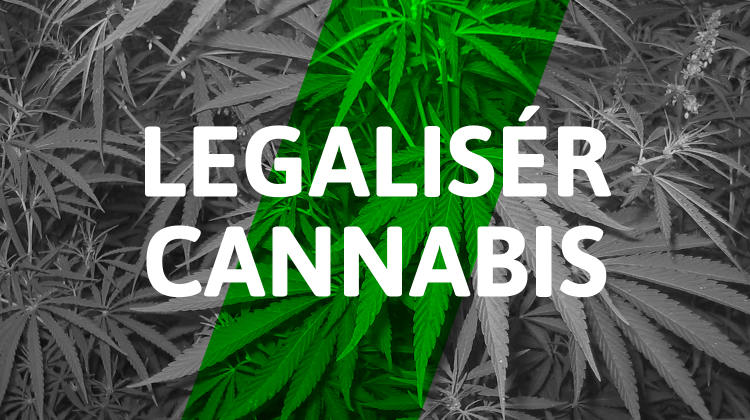 cannabis_politik.png